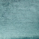 1920042-Blue Spruce